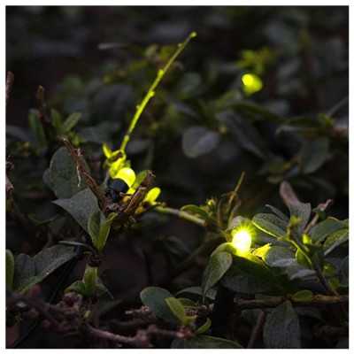 Svietidlo solárne GIRLANDA ORNIS 7LED