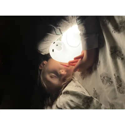 Detská dotyková lampa s diaľkovým ovládaním Tuleň Detská dotyková lampa s diaľkovým ovládaním Tuleň